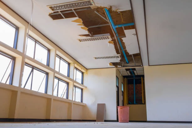 Best Fire Damage Restoration  in North Salt Lake, UT