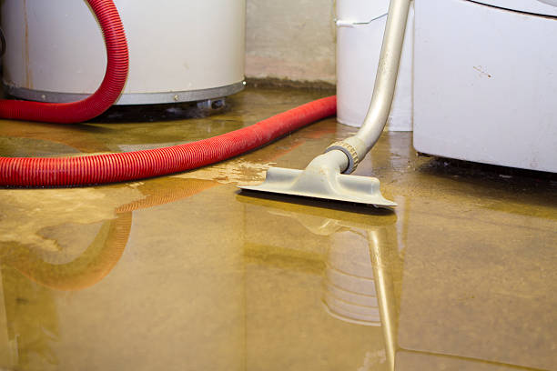 Best Mold removal after water damage  in North Salt Lake, UT